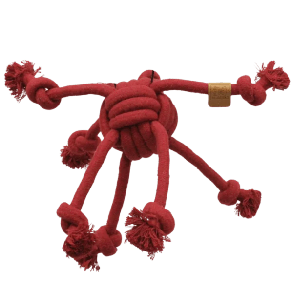 Thumb 3